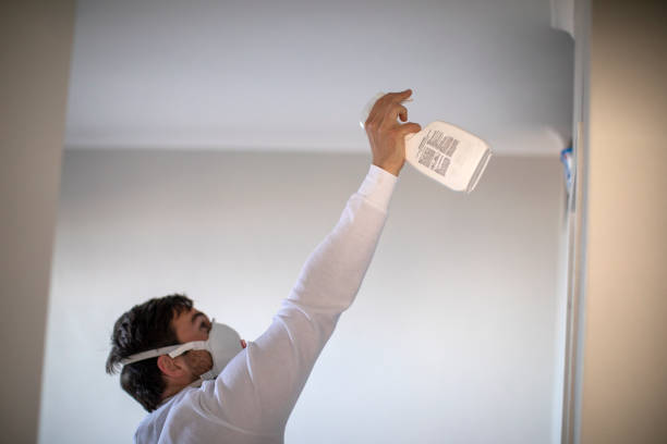 Best Mold Inspection  in Coleytown, CT
